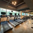 다이아짐 이미지