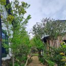 죽성에 머물다 이미지