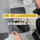 한결동물병원 | 송파 위례 LA동물병원 검진 후기. 요크셔테리어 복부초음파 &amp; 피부재생레이저