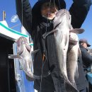 피싱랜드 이미지