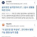 라파 팜 이미지