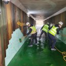 능안초등학교 이미지