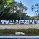 가족캠핑장 이미지