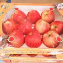 선경상회 이미지