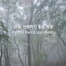 진안군 가위박물관 | 3번 연속 곰탕산행 끝, 드디어 맑은 진안마이산 최단코스, 블랙야크 100대 명산 30좌 달성 후기