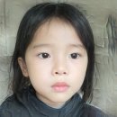 정광양만 네이버블로그