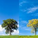 원국상사 이미지