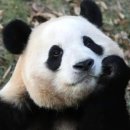 마라중독 이미지