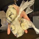 수현주유소 | [부천 맛집] 곤드레밥집 부천 여월동 한식 맛집 내돈내산 추천