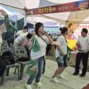 해신용왕 대축제 감사합니다~ 이미지