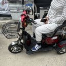 화산면사무소 | 경북 영천시 화산면 전기삼륜차 씽씽 500 납품!!