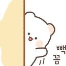 강남구 학동로2길 이미지