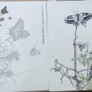 최북미술관김환태문학관 전시실 이미지