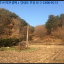 읍내5리 마을회관 이미지