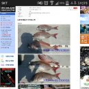 통영펜션하늘채