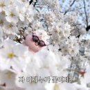 청이비인후과 이미지