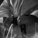 용인대챔피온태권도 이미지