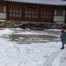 데굴데굴 이미지