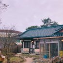 솔미식당 이미지