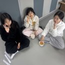 경희대 품희 태권도장 이미지