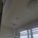 올리움