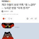 개코 아들이 보낸 카톡 “응 느금마” ··· 누리꾼 반응 “이게 웃겨?” 이미지