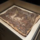 천마약품 이미지