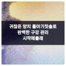 백세치과의원 이미지