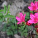 성공을 부르는 명리학 이미지