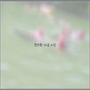 동강자연속으로 이미지