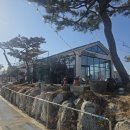 616 | 강화도 오션뷰 카페 마레 616 방문 후기, 바다 보이는 대형카페