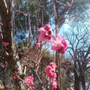 한아름홈쇼핑(주) 이미지