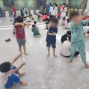 미르 태권도 이미지