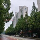 미래팜서울약국 이미지