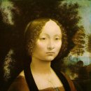 레오나르도 다빈치의 여성 초상화﻿ 이미지