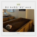 울산 효소찜질 효담 실내 데이트코스 추천