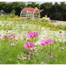 신흥근린공원 이미지