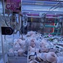 인형뽑기세상 이미지