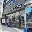 509 | 소금빵 맛집 베이커리509 오공구베이커리 후기