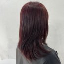 일산미용실 염색 잘하는 곳 헤어어노즈 일산킨텍스점 후기