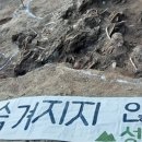 성미산학교 이미지