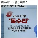 새로운 시작과 다양한 도전중인 6월의 기록