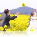 소소