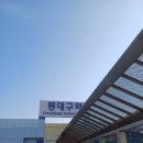 새마을금고 앞 | [대전 당일치기] 251227_탄자니아 동료와 1년 만에 만나다 😊💛🧡