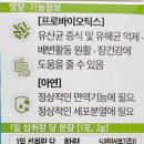 영바이오텍 이미지