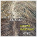 속눈썹+브로우 펌 세트 1시간에 끝나는 원흥역 쏙눈썹