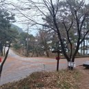 이일레3 네이버블로그