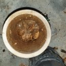 싱크대욕실세면대세탁기수도꼭지샤워기변기부품교체누수막힘뚫음 이미지