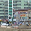 벌교우렁 이미지