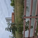 율동공원 | 매향리 생태공원, 율동공원 후기